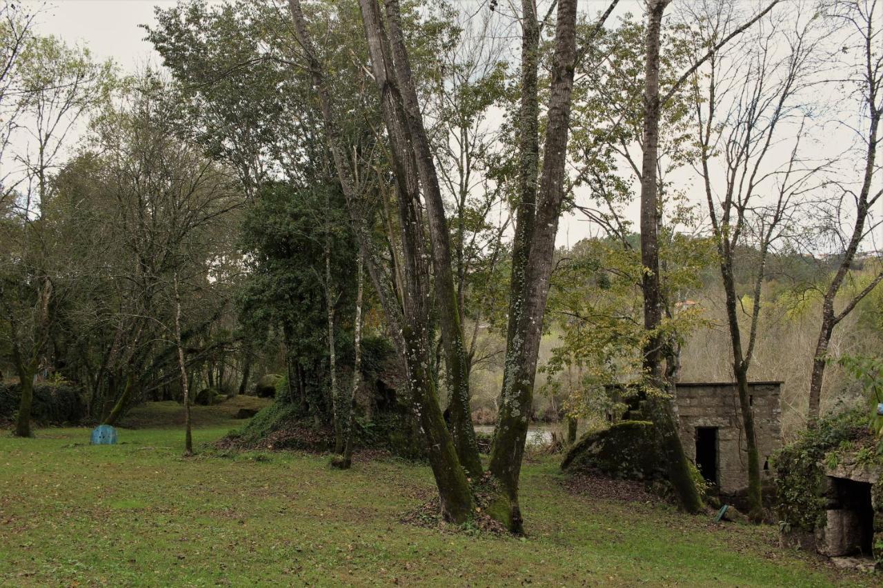 5ª D'Azenha - River And Nature 阿马兰特 外观 照片